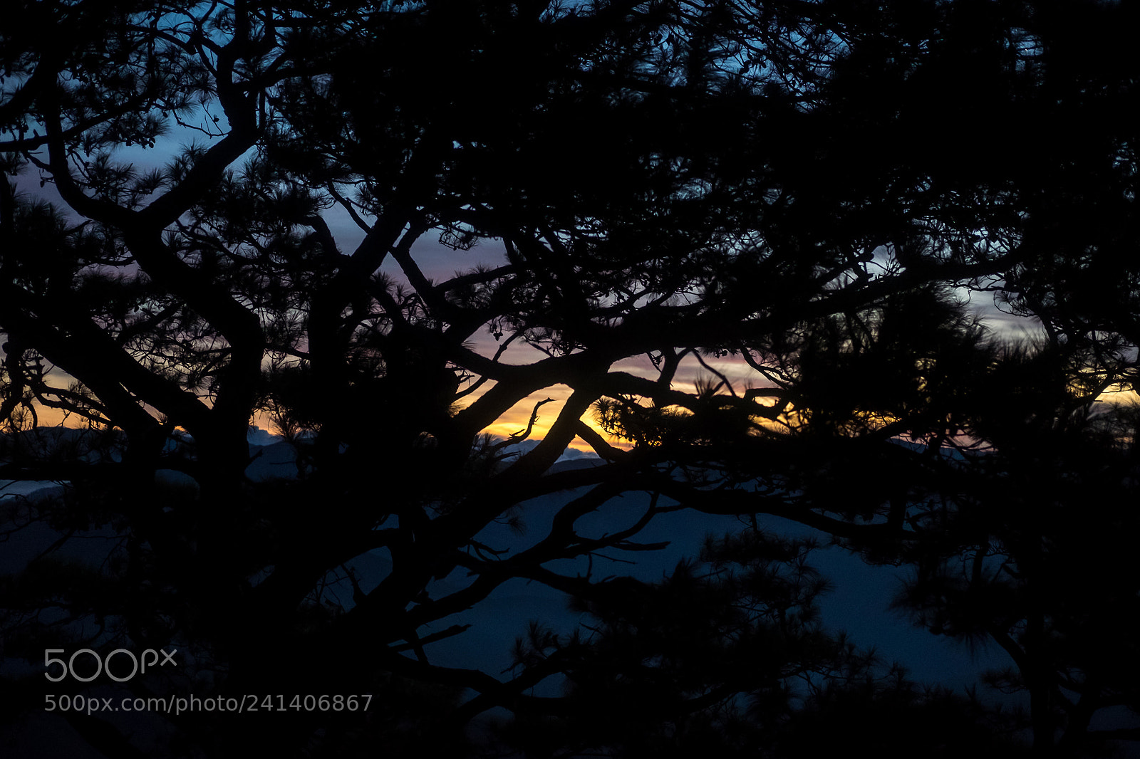 Fujifilm X-T10 sample photo. Untitled photography