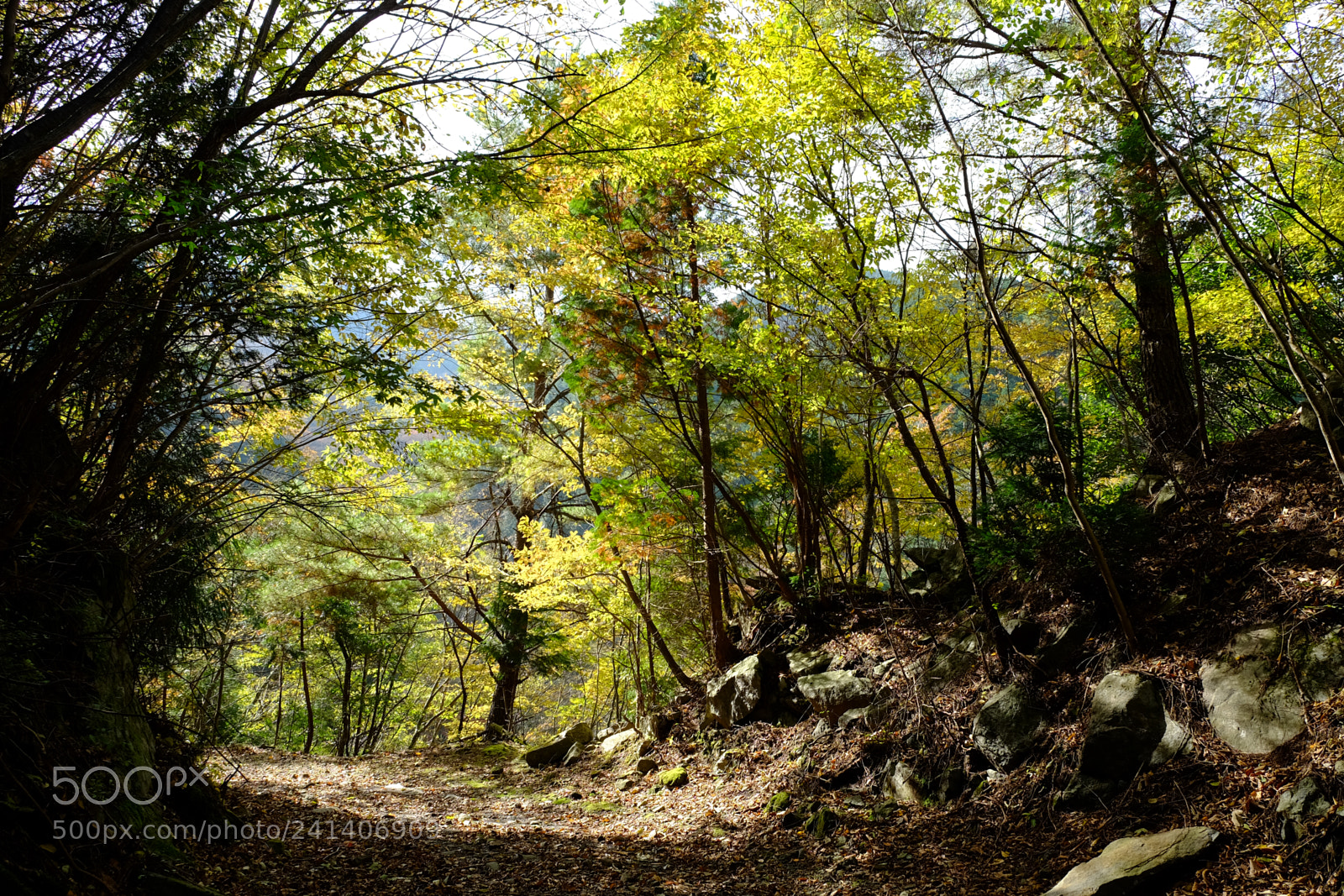 Fujifilm X-T10 sample photo. Son photography