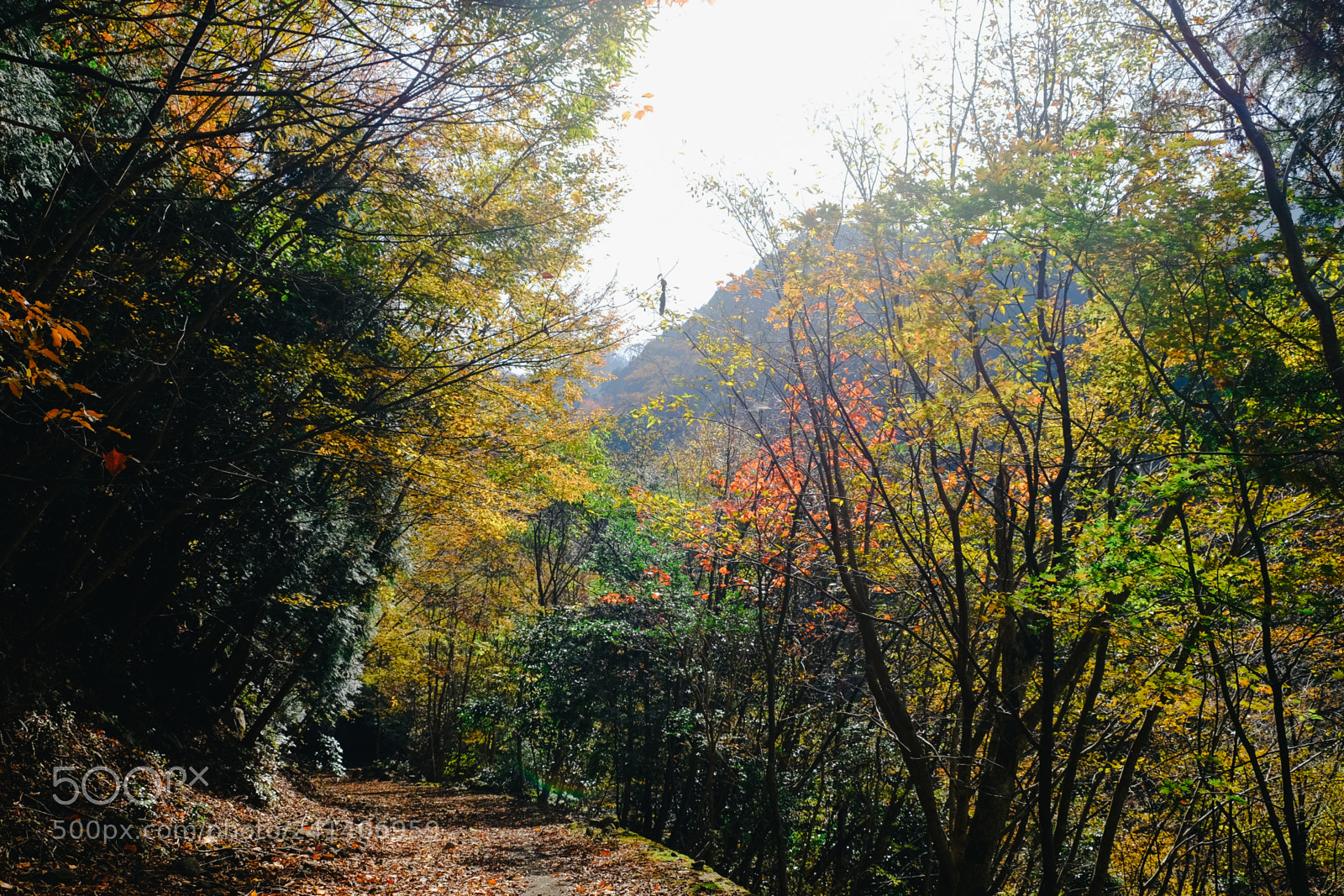 Fujifilm X-T10 sample photo. Son photography