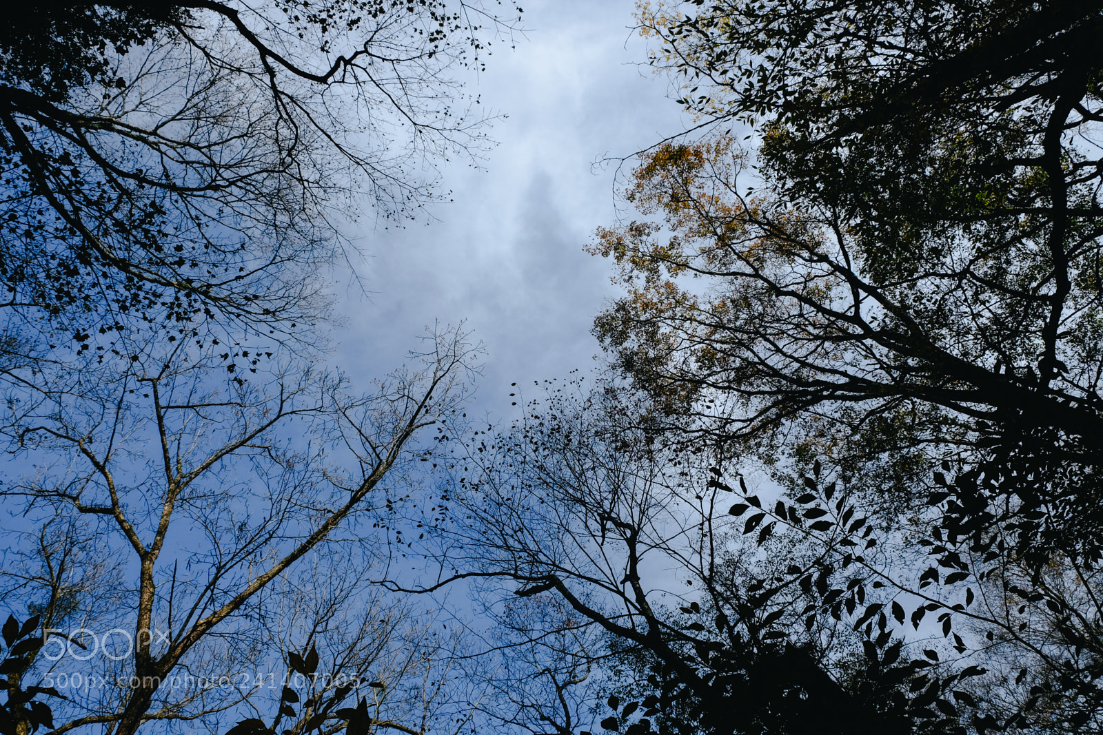 Fujifilm X-T10 sample photo. Son photography
