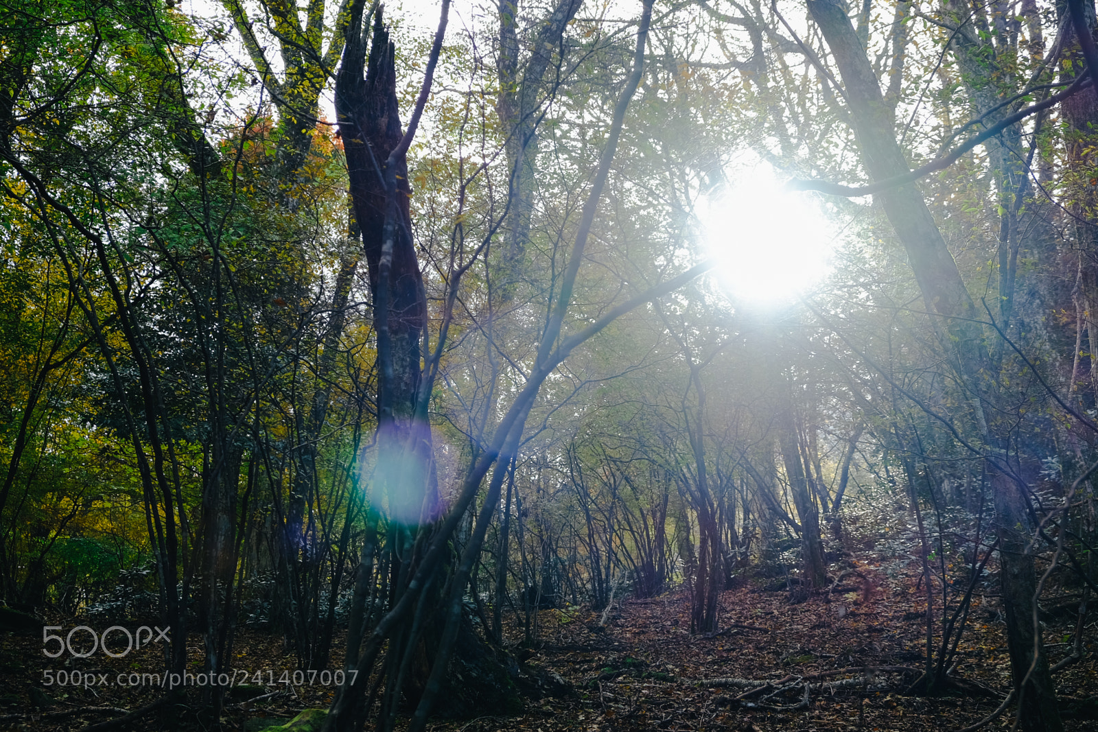 Fujifilm X-T10 sample photo. Son photography