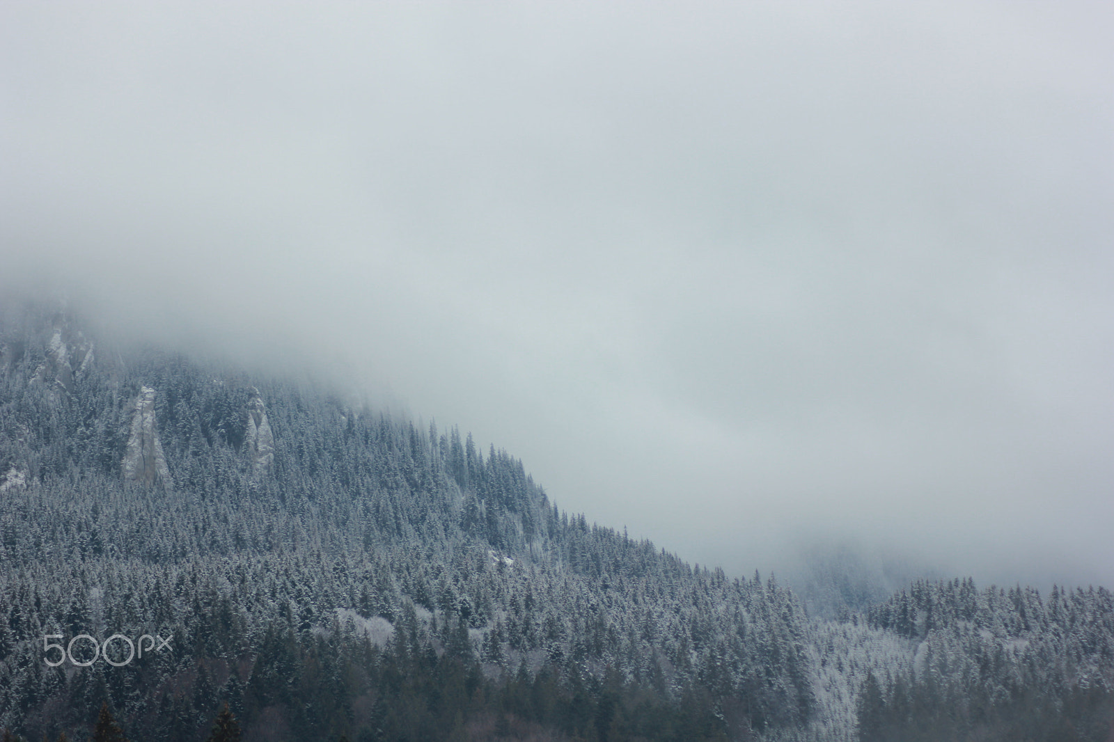 Canon EOS 550D (EOS Rebel T2i / EOS Kiss X4) sample photo. Foggy day in romanian mountaints photography