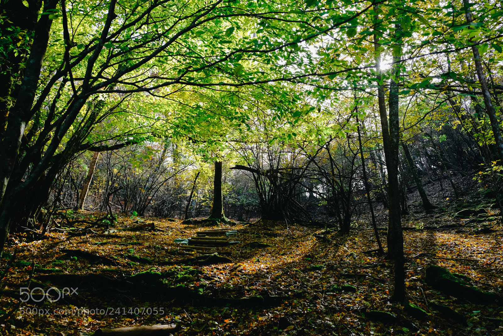 Fujifilm X-T10 sample photo. Son photography