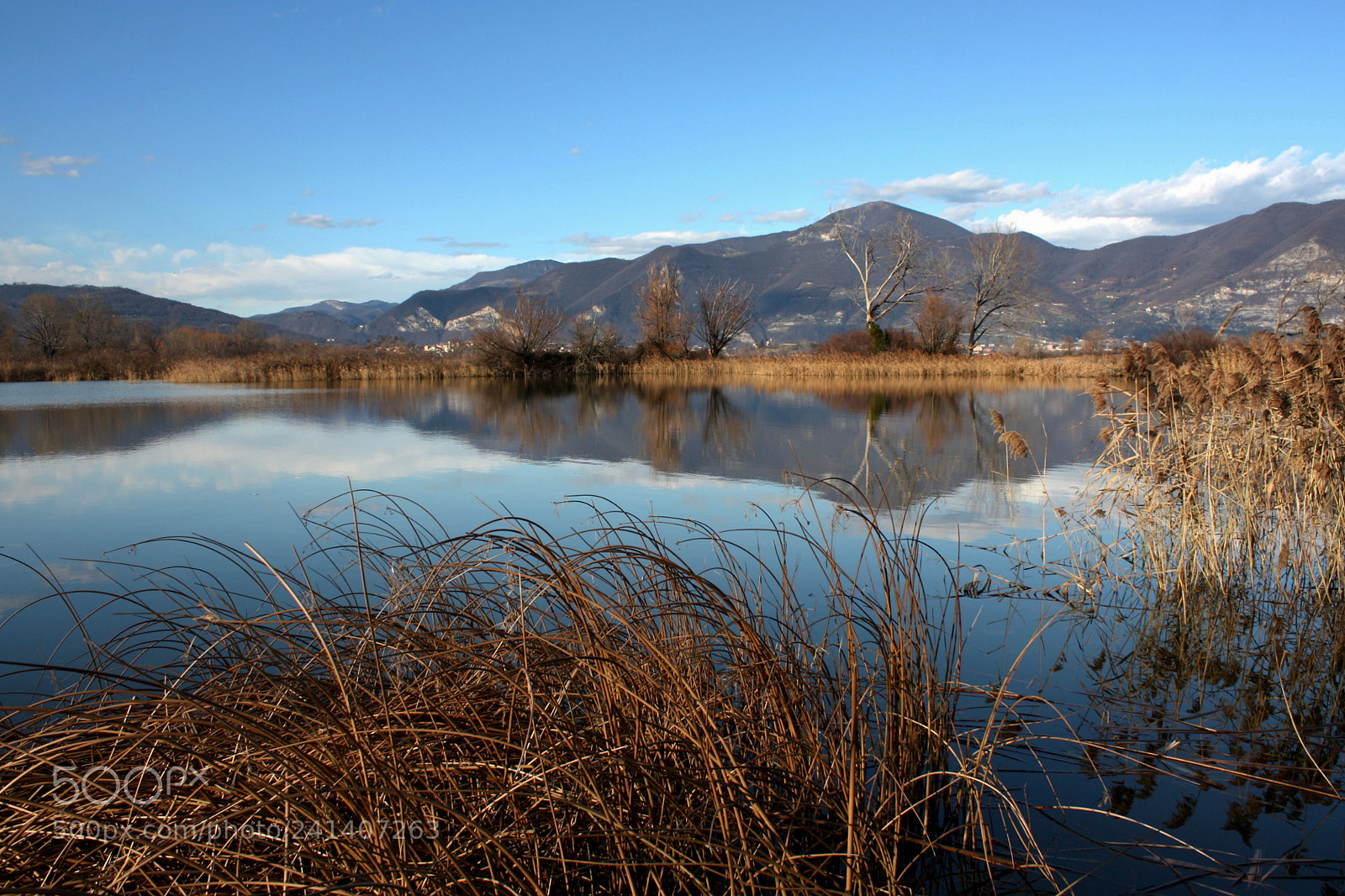 Canon EF-S 18-55mm F3.5-5.6 IS sample photo. Torbiere del sebino photography