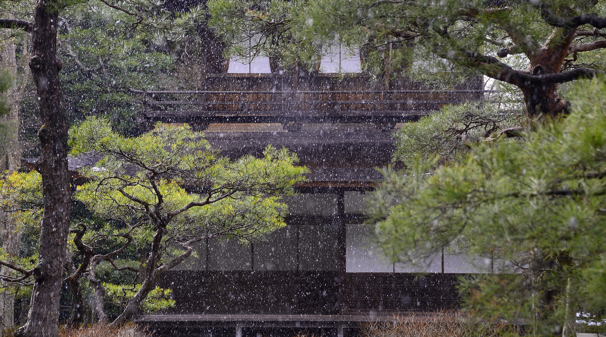 Nikon Df sample photo. A perfume of zen & winter photography