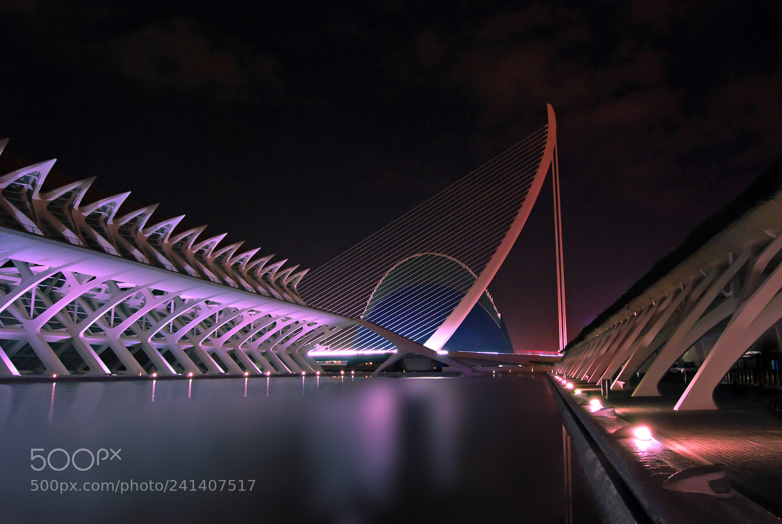 Nikon D60 sample photo. The city of science photography