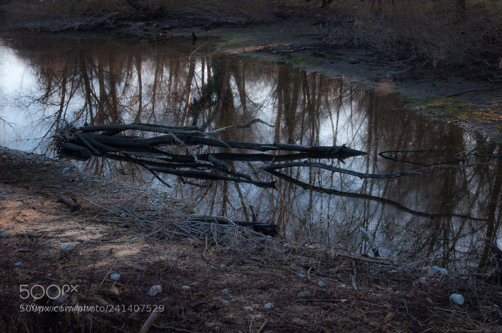 Nikon D90 sample photo. Natura morta photography