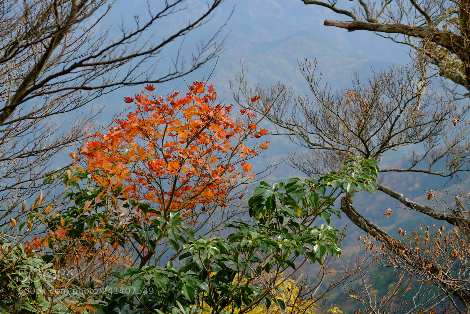Fujifilm X-T10 sample photo. Son photography