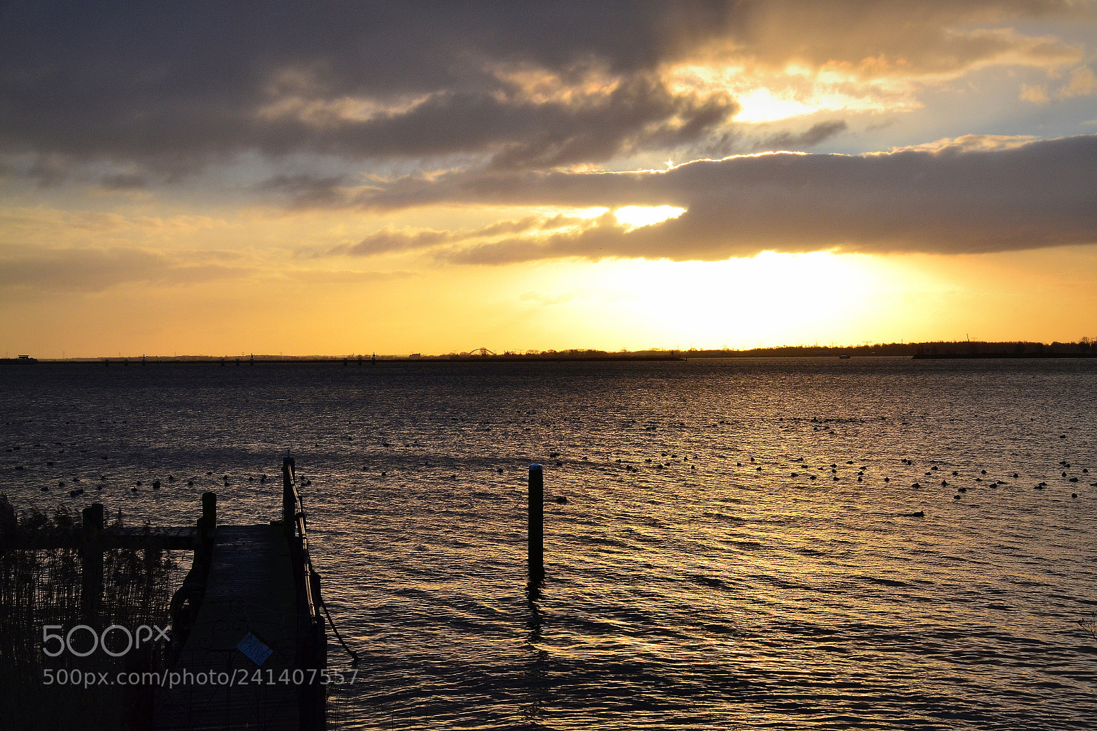 Nikon D3100 sample photo. A l'aube photography