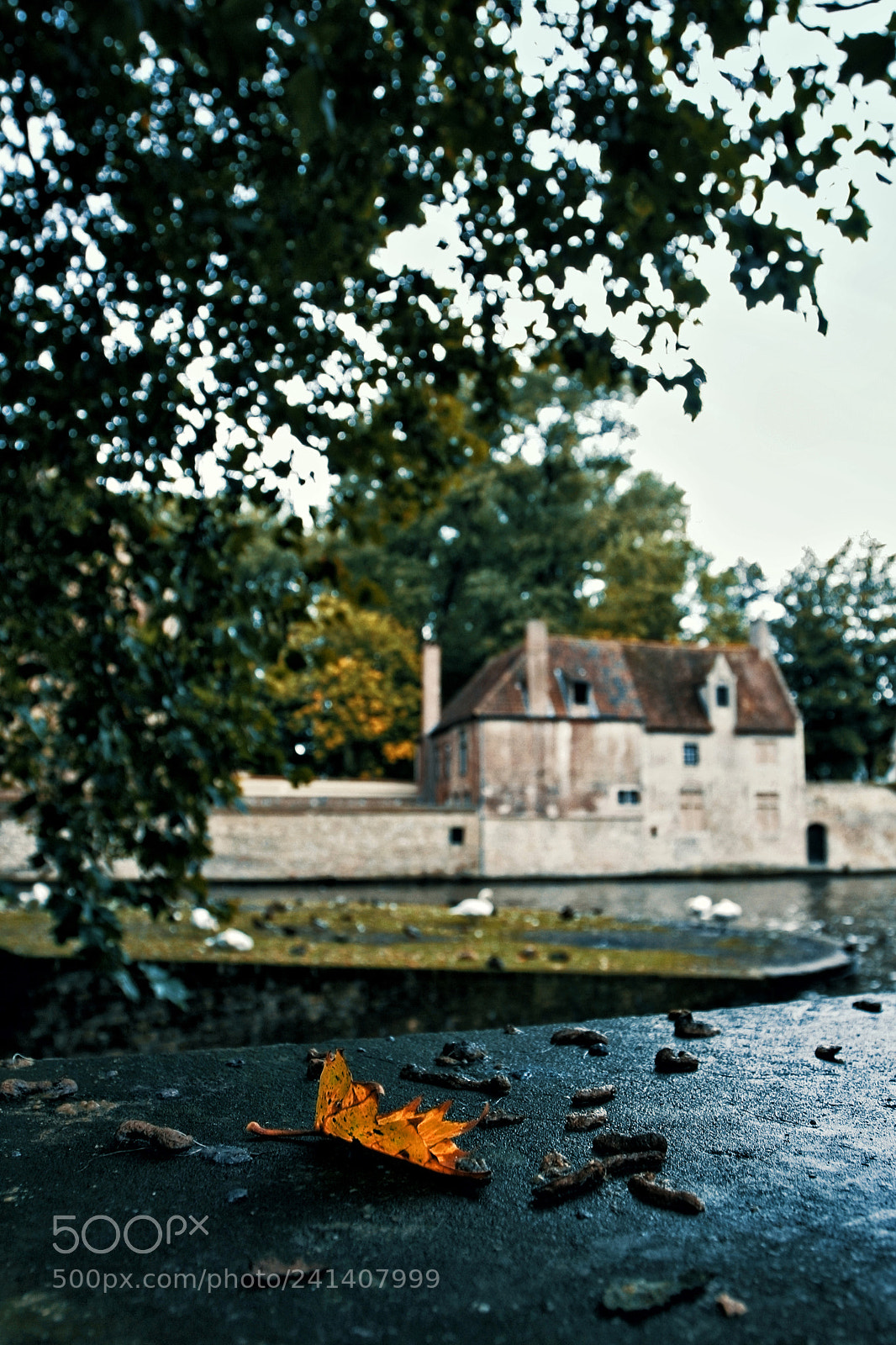 Canon EOS 20D sample photo. Bruges photography