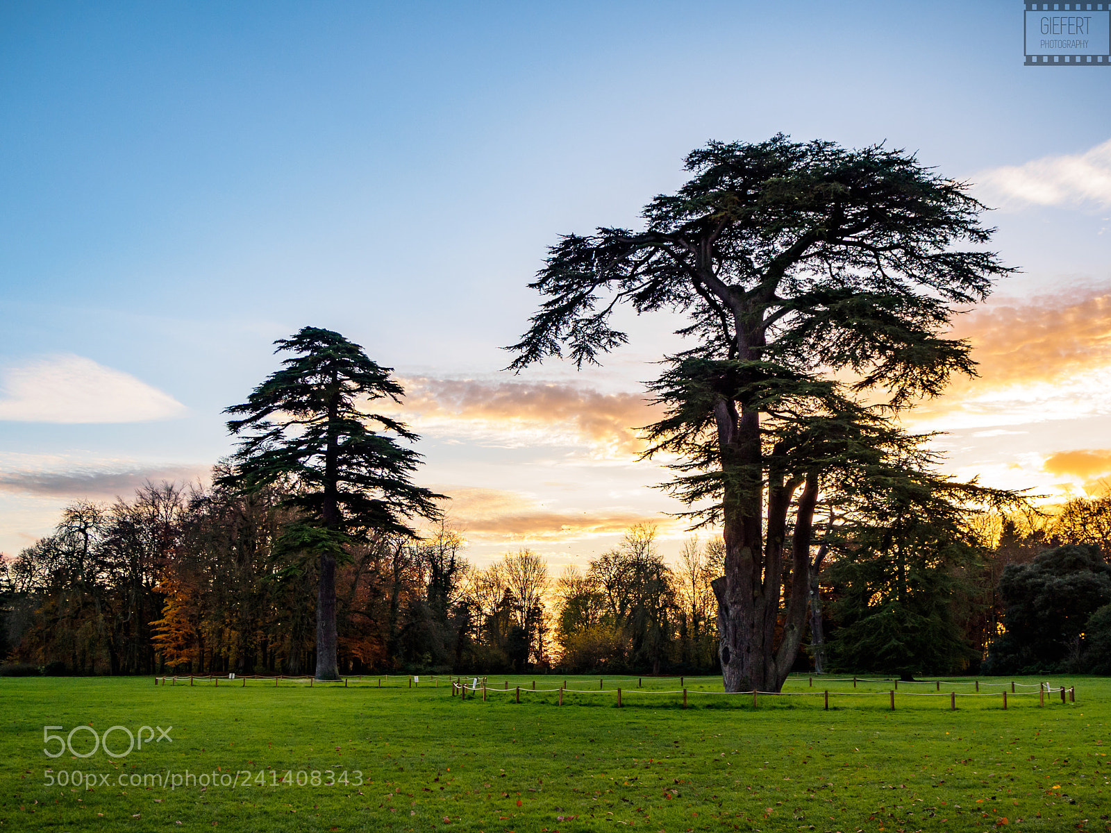 Olympus OM-D E-M10 II sample photo. Golden hour at lydiard photography