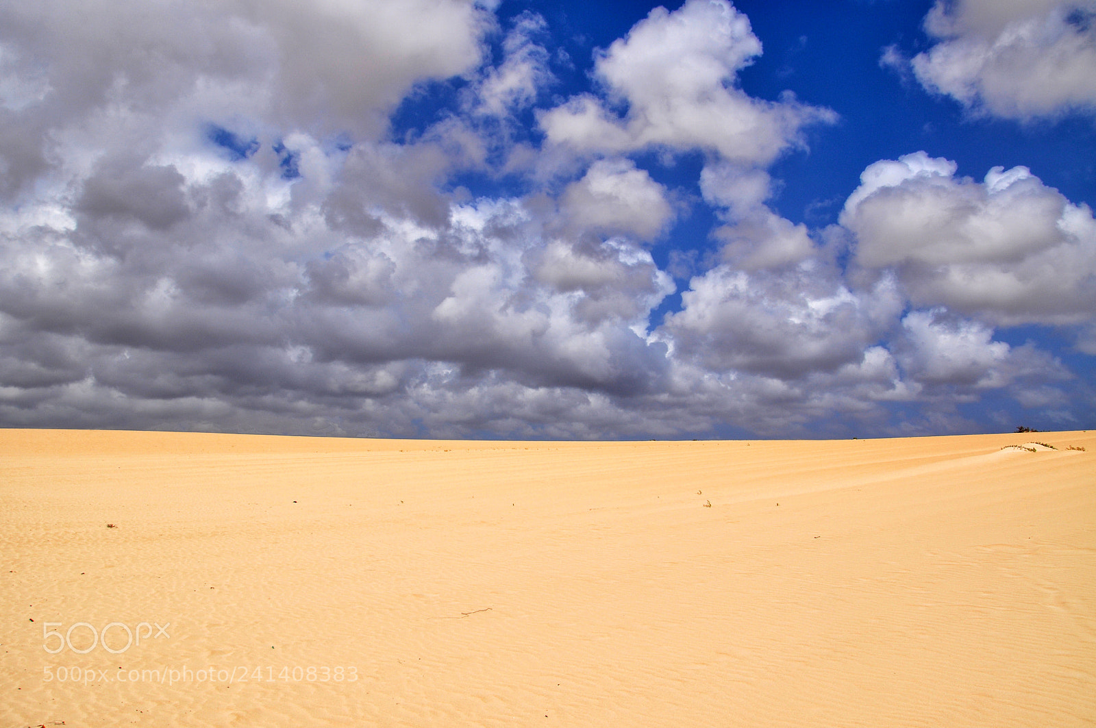 Nikon D5000 sample photo. Sand dunes of corralejo photography
