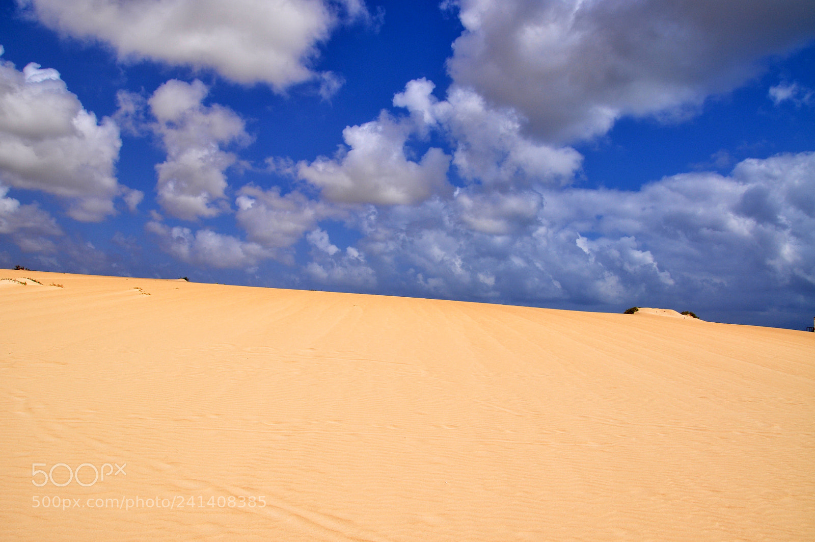 Nikon D5000 sample photo. Sand dunes of corralejo photography