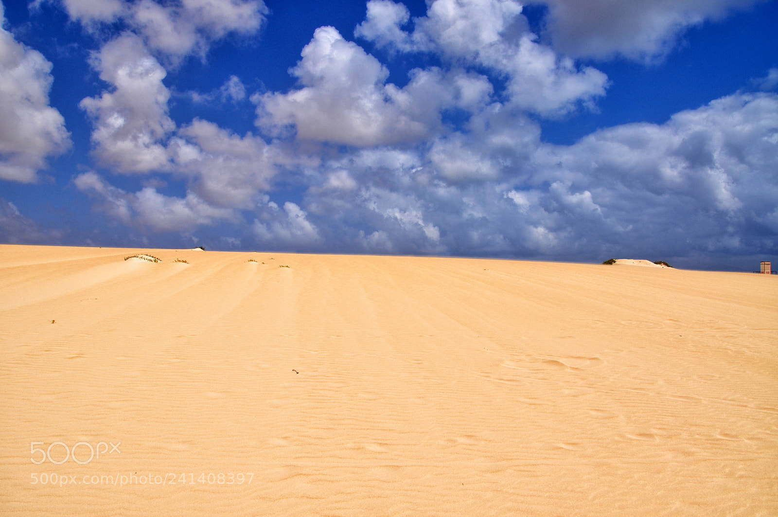 Nikon D5000 sample photo. Sand dunes of corralejo photography