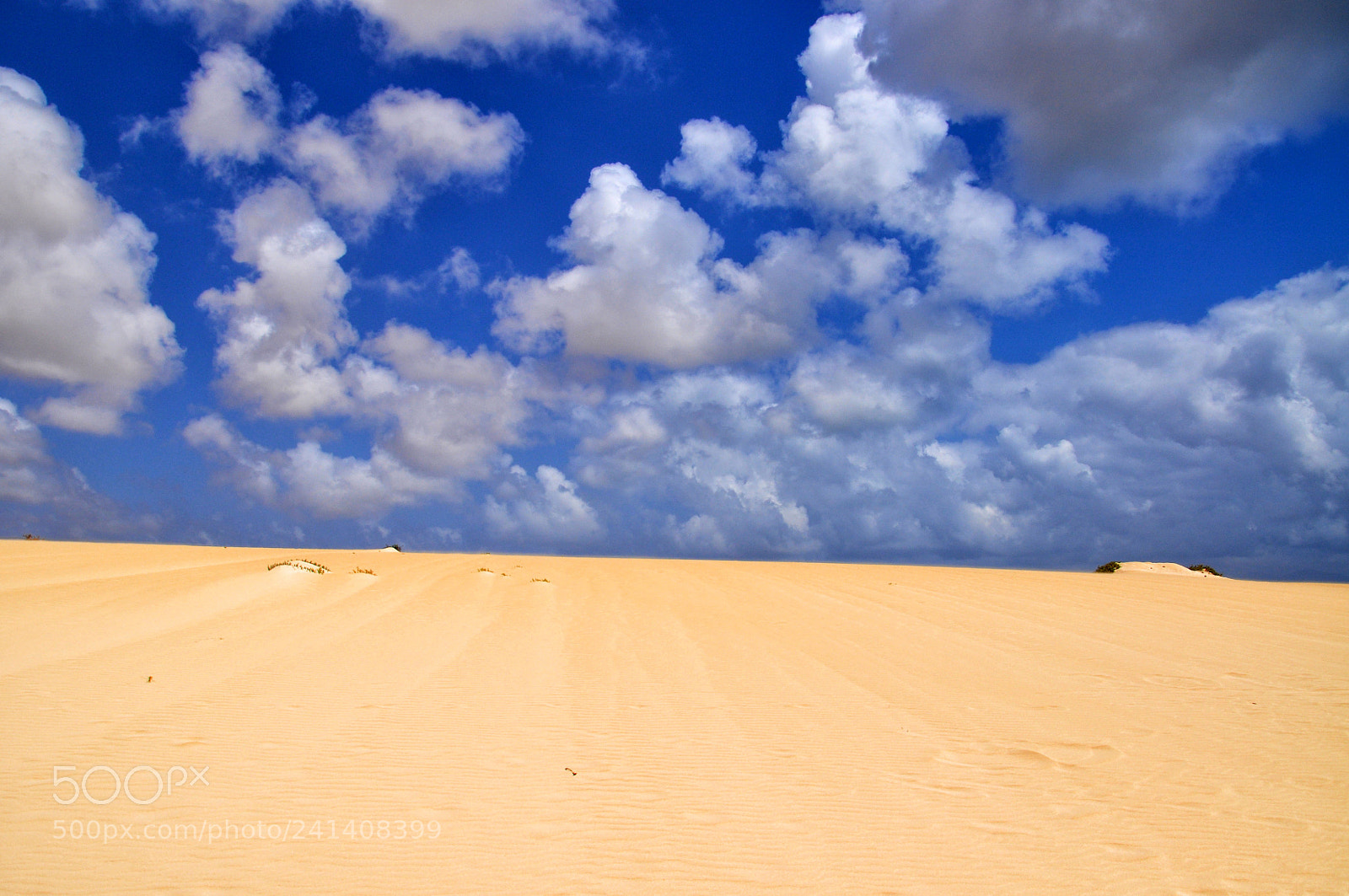 Nikon D5000 sample photo. Sand dunes of corralejo photography