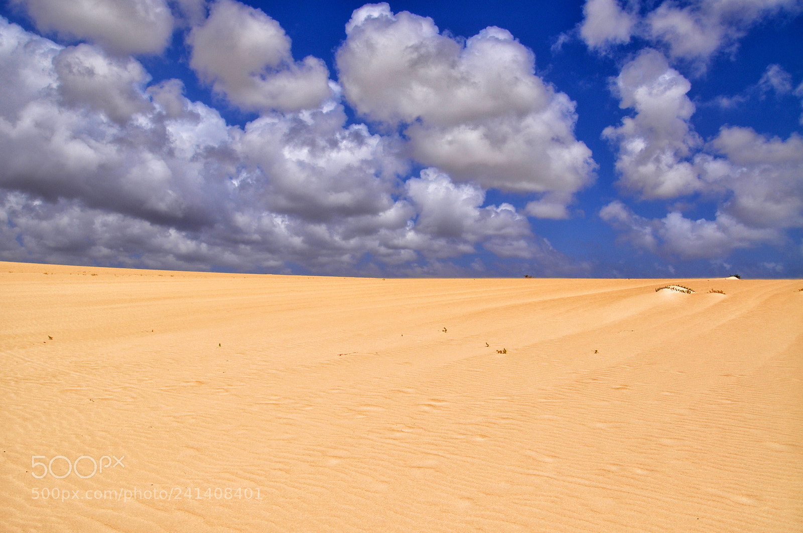 Nikon D5000 sample photo. Sand dunes of corralejo photography