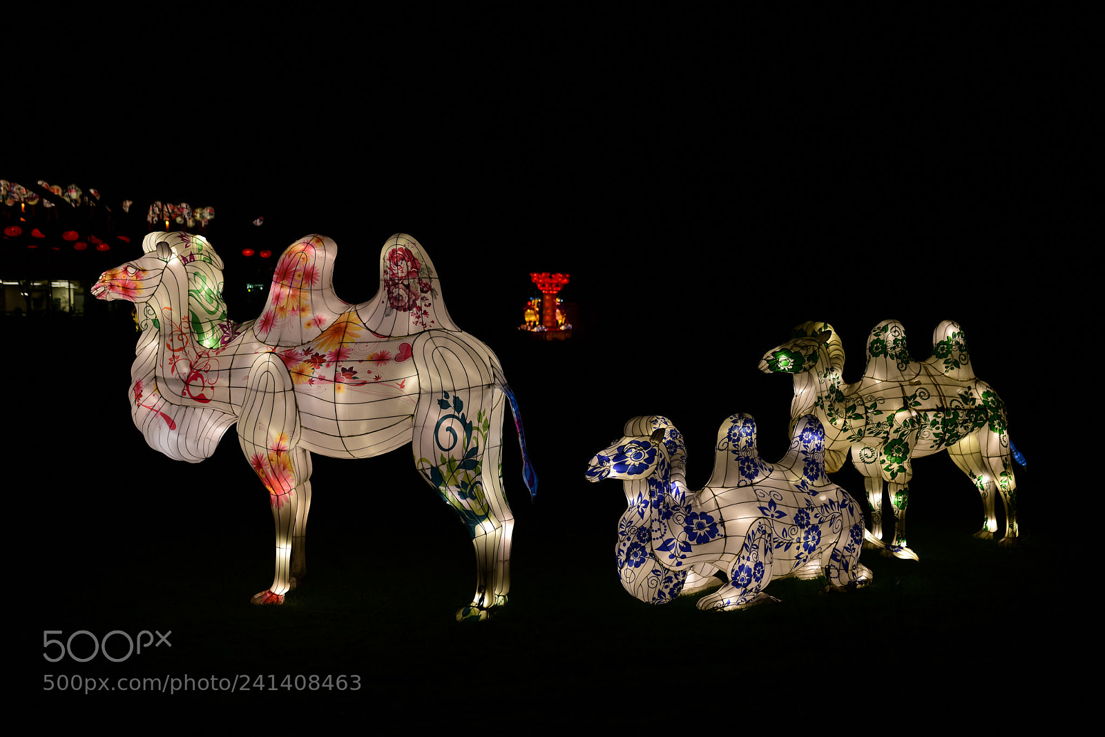 Nikon D810 sample photo. Zoo cologne - china photography