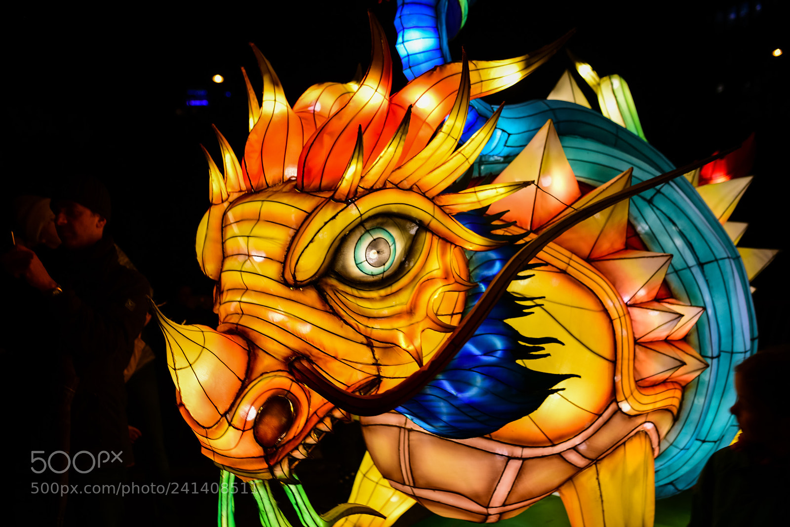 Nikon D810 sample photo. Zoo cologne - china photography