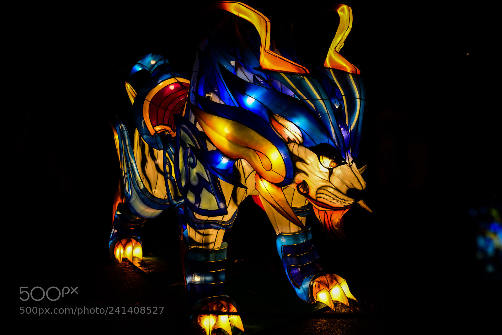 Nikon D810 sample photo. Zoo cologne - china photography