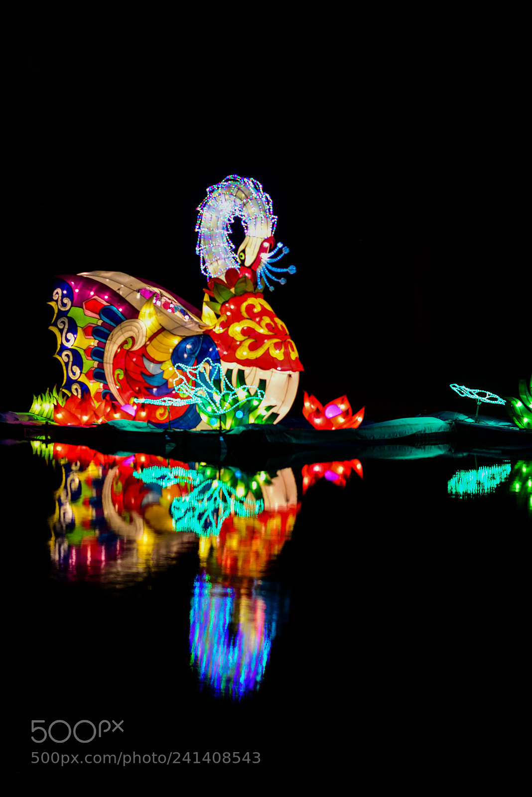 Nikon D810 sample photo. Zoo cologne - china photography