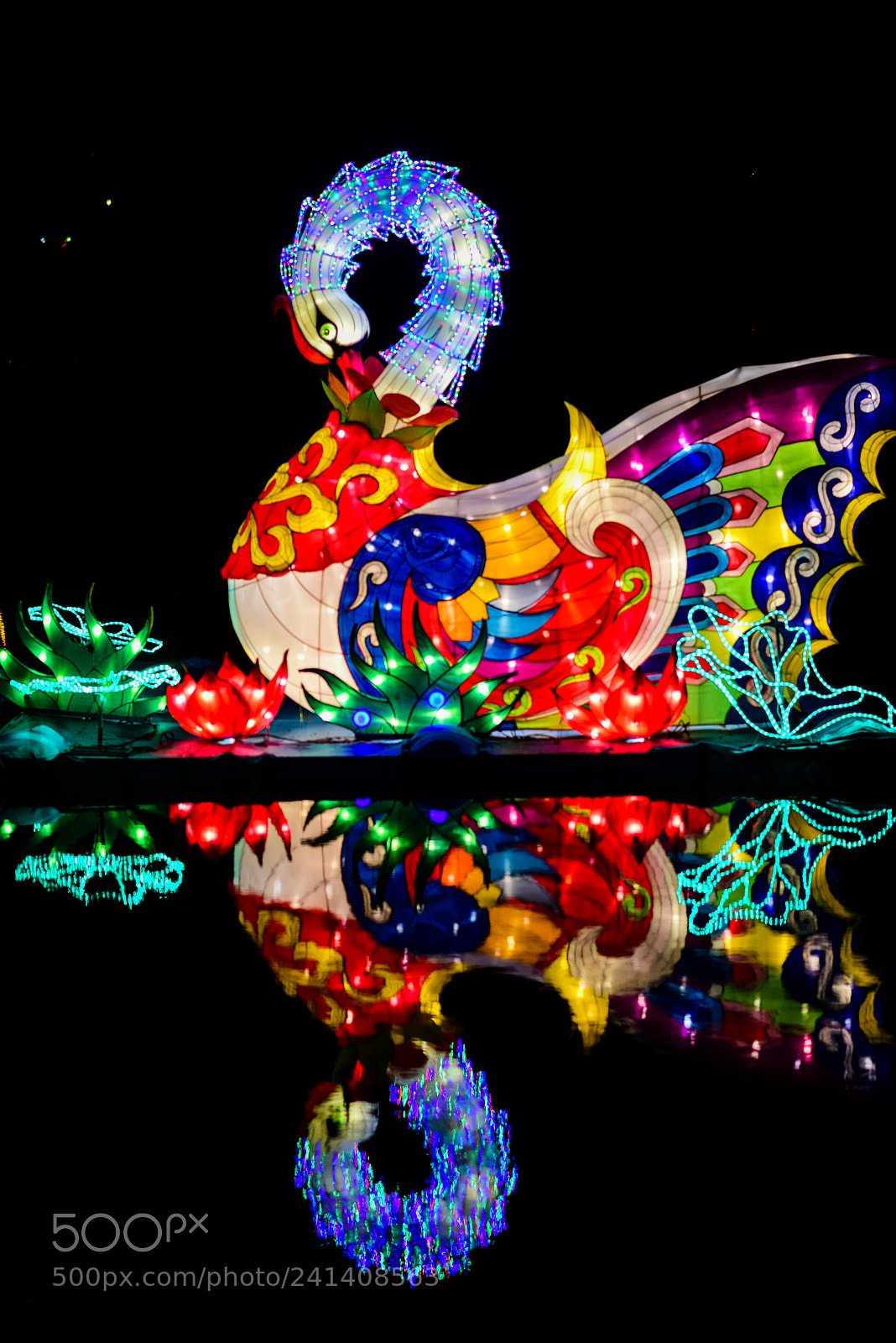 Nikon D810 sample photo. Zoo cologne - china photography