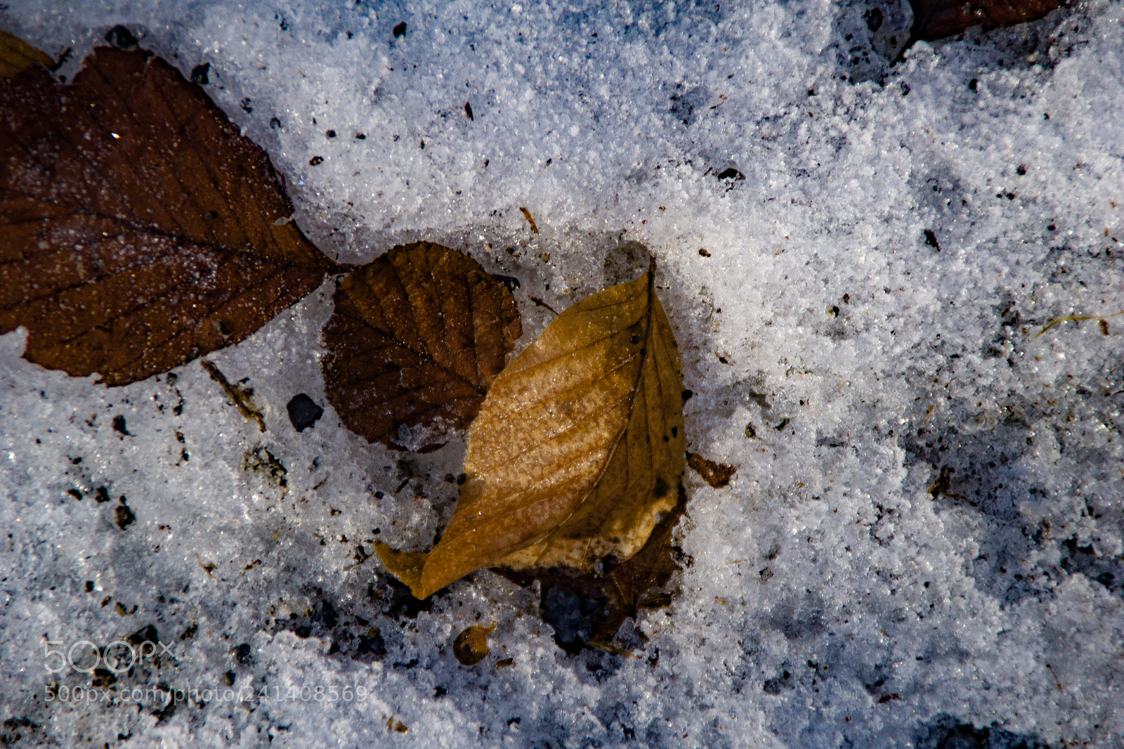 Sony a5100 sample photo. Good 2018 photography