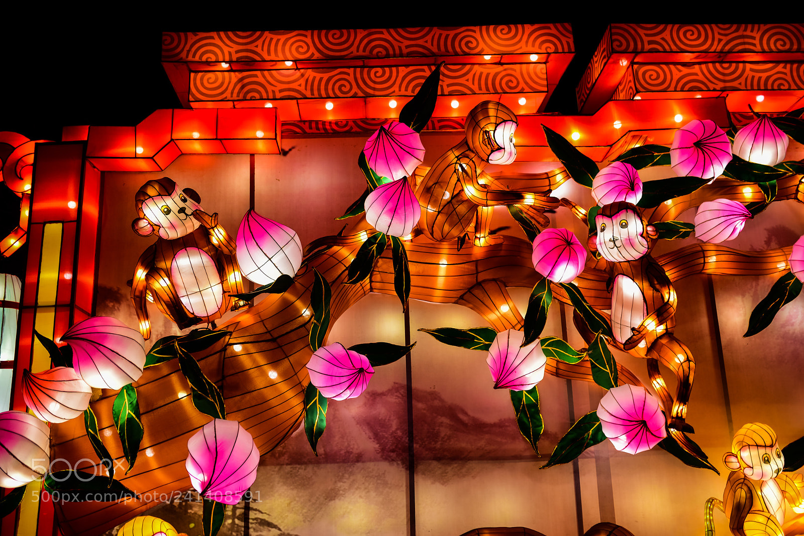 Nikon D810 sample photo. Zoo cologne - china photography