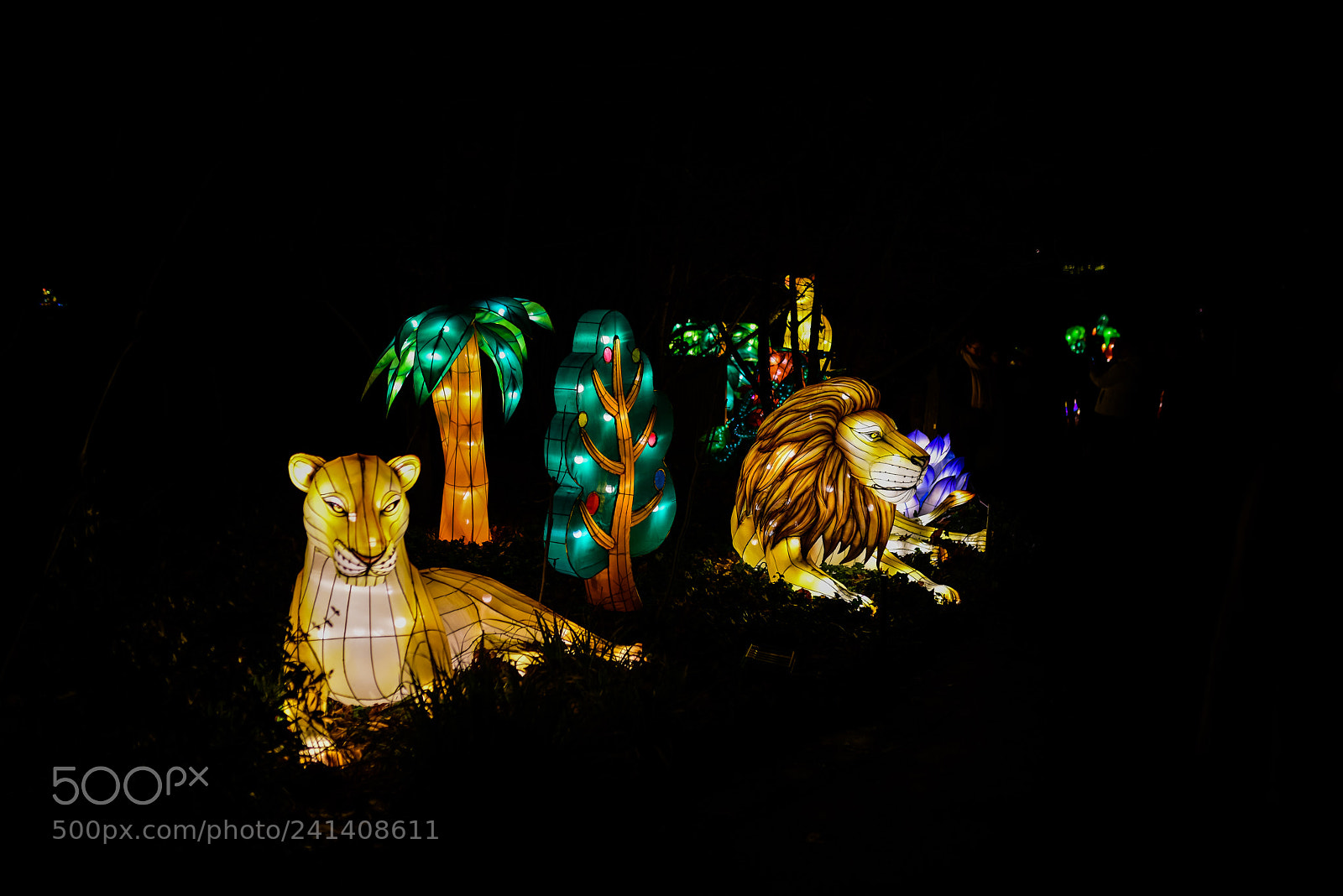 Nikon D810 sample photo. Zoo cologne - china photography