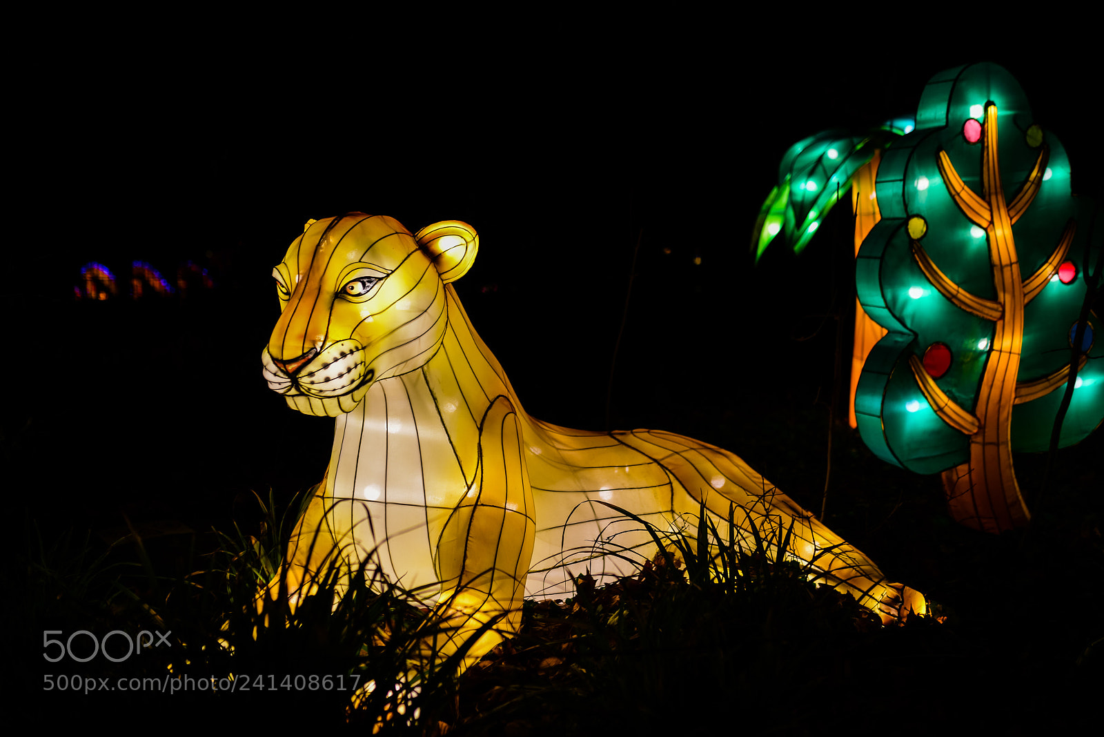 Nikon D810 sample photo. Zoo cologne - china photography