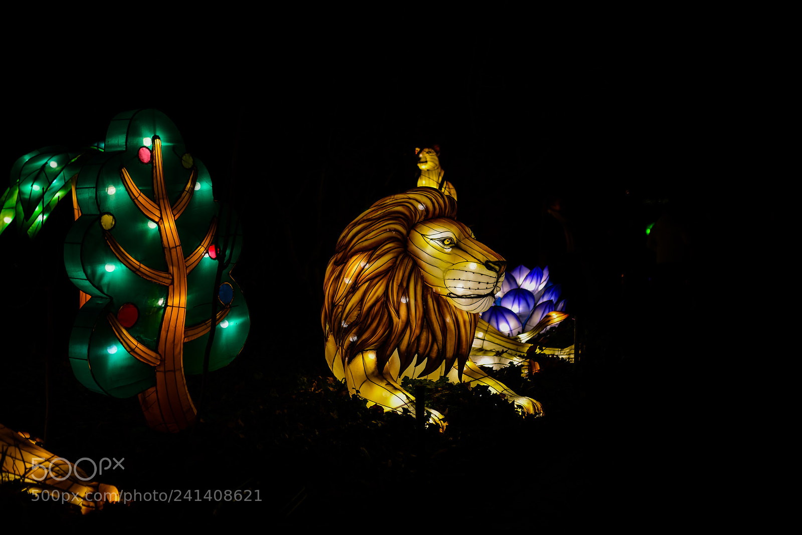 Nikon D810 sample photo. Zoo cologne - china photography