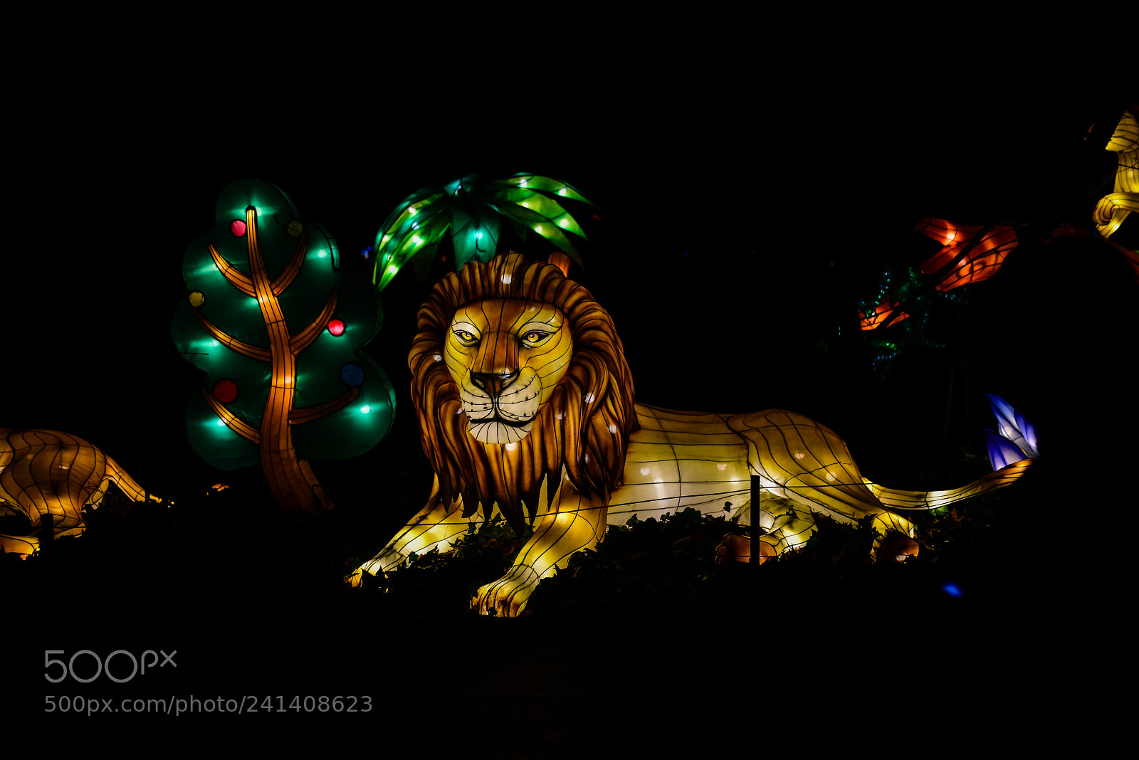 Nikon D810 sample photo. Zoo cologne - china photography