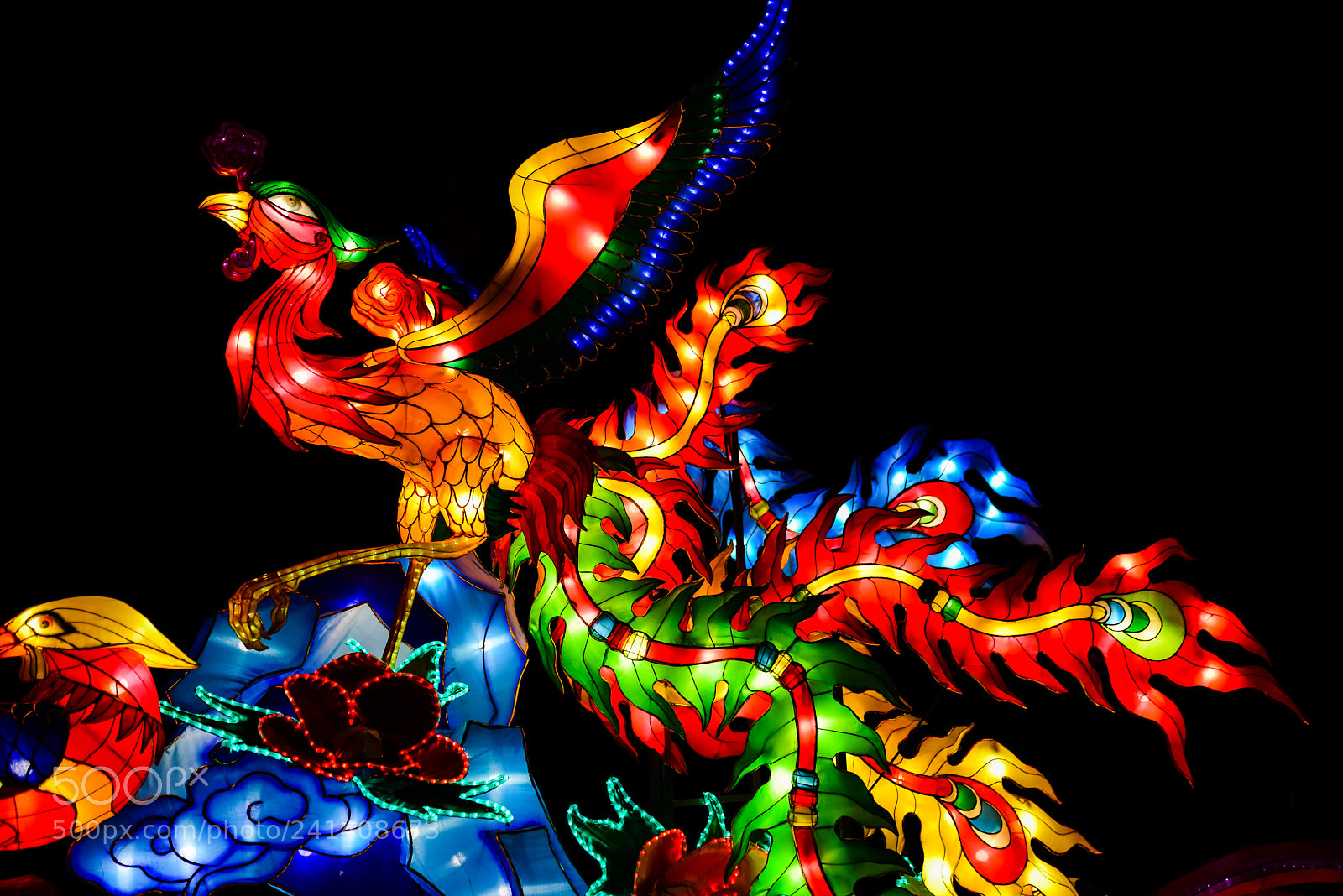 Nikon D810 sample photo. Zoo cologne - china photography
