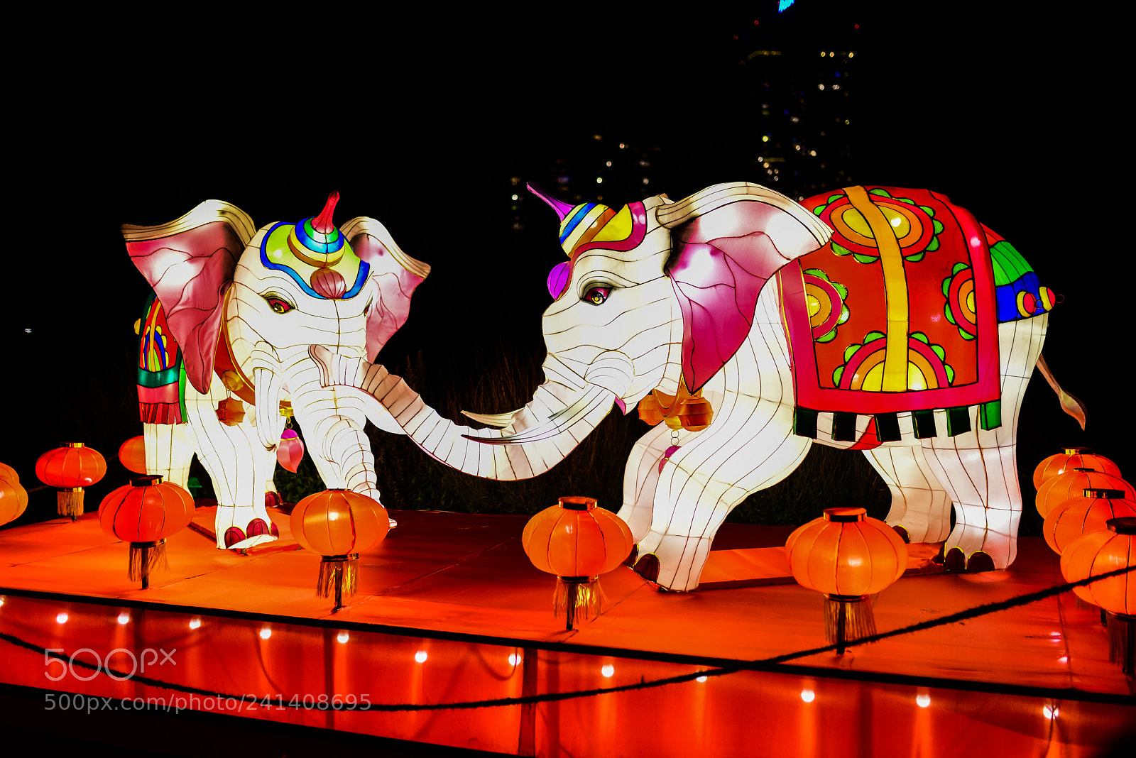 Nikon D810 sample photo. Zoo cologne - china photography