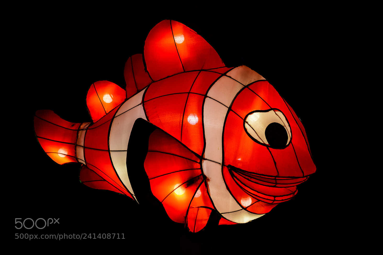 Nikon D810 sample photo. Zoo cologne - china photography