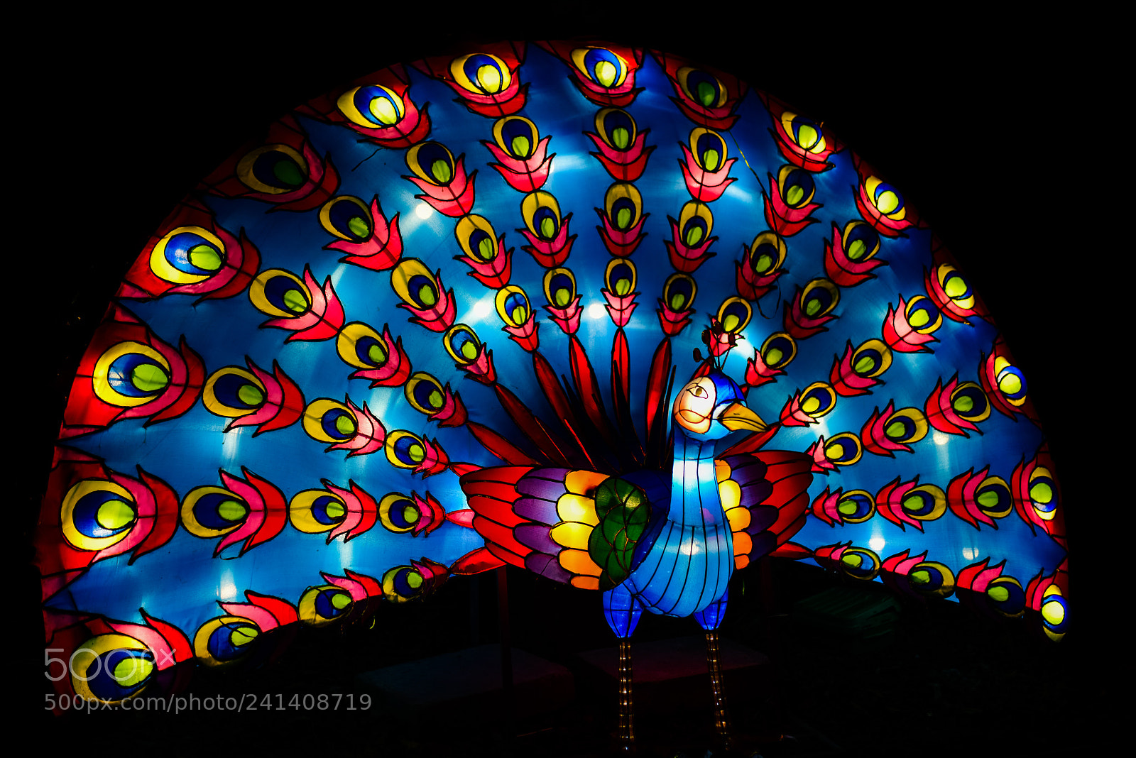 Nikon D810 sample photo. Zoo cologne - china photography