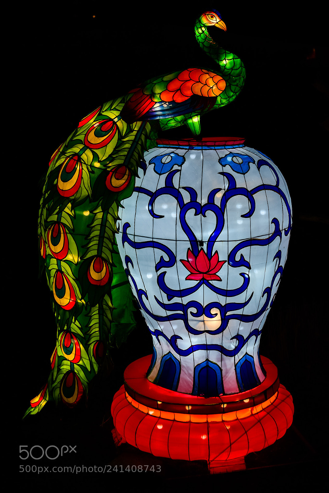 Nikon D810 sample photo. Zoo cologne - china photography
