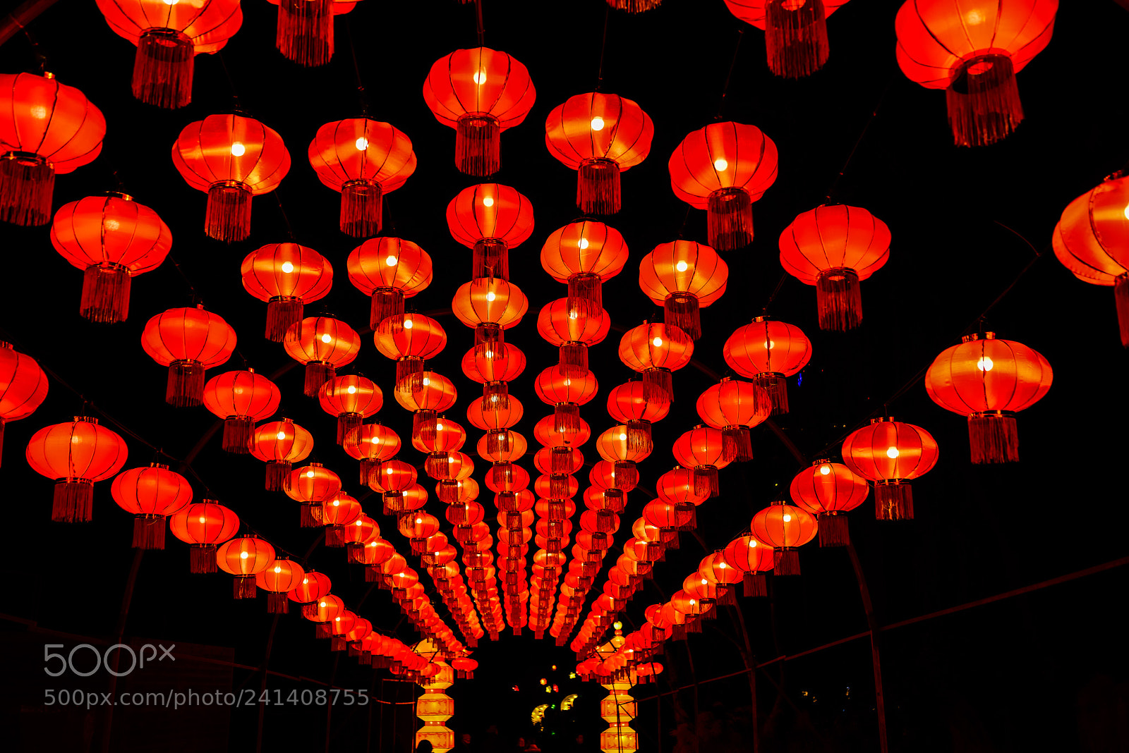 Nikon D810 sample photo. Zoo cologne - china photography