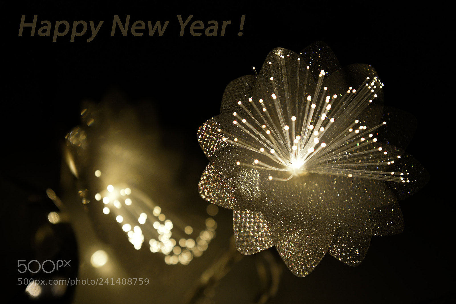 Nikon D4 sample photo. Best wishes for 2018 ! photography