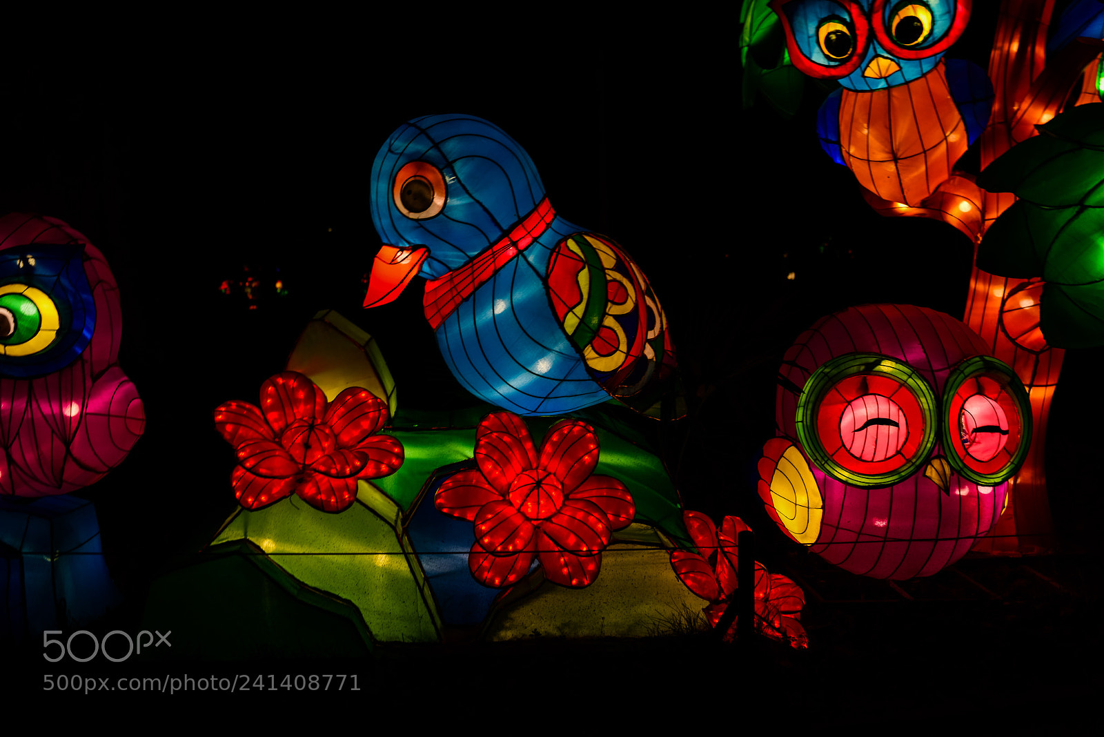 Nikon D810 sample photo. Zoo cologne - china photography