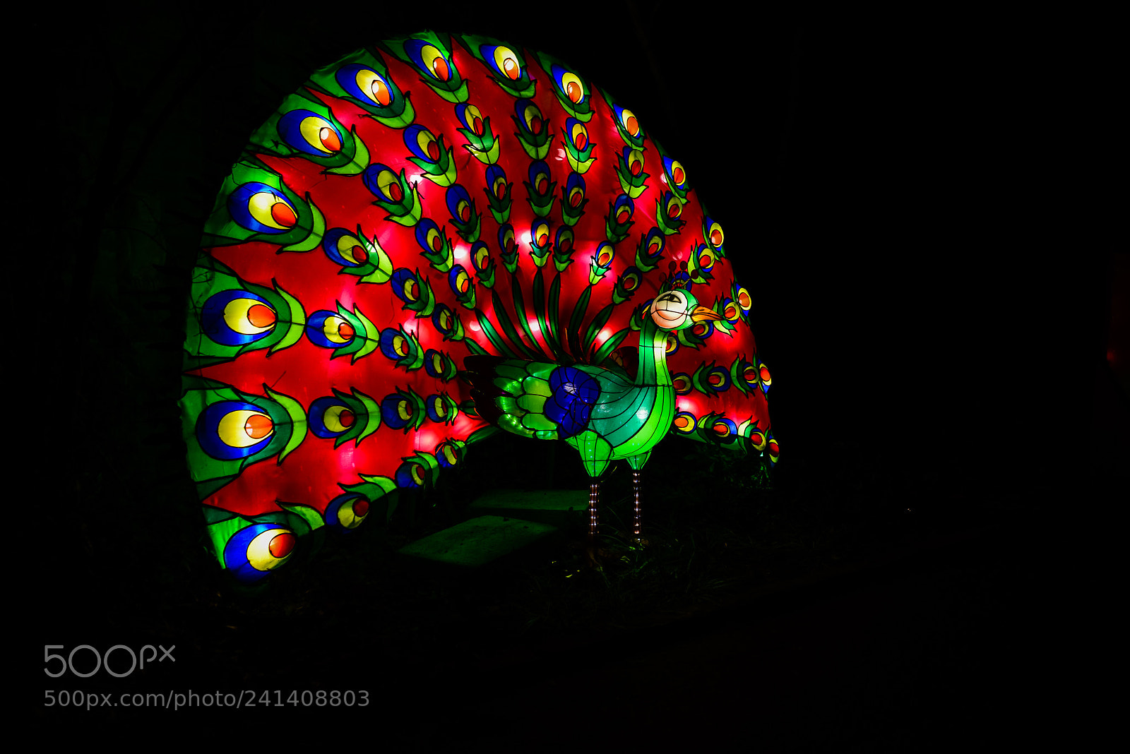 Nikon D810 sample photo. Zoo cologne - china photography
