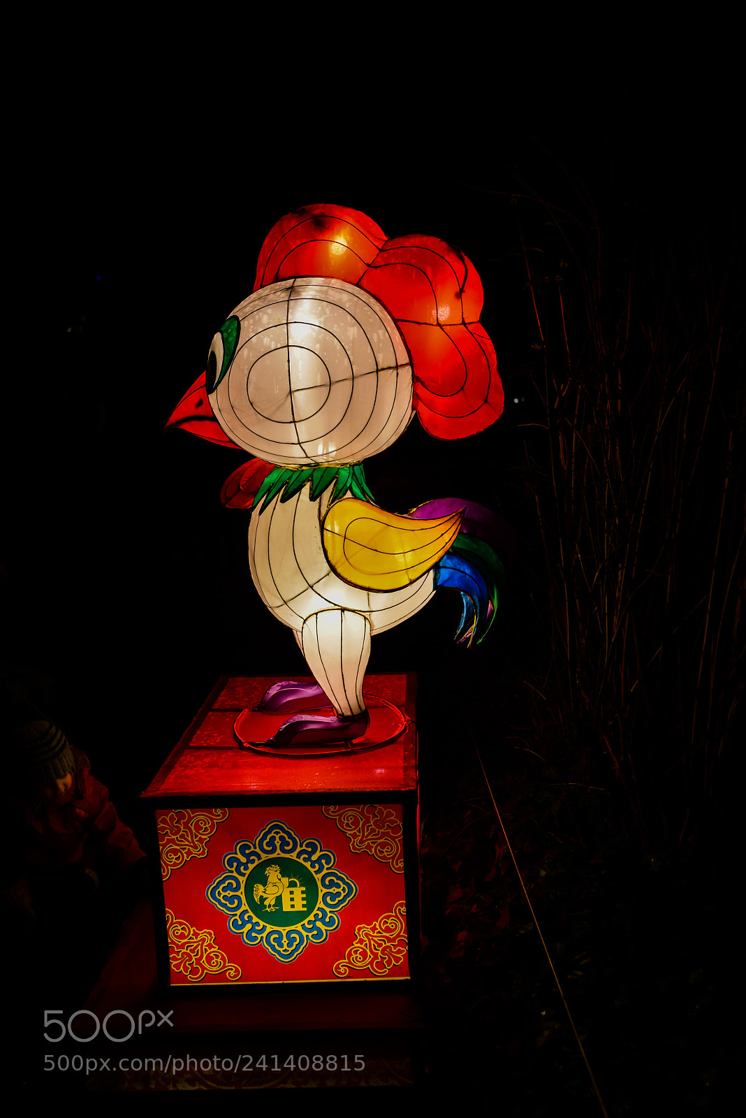 Nikon D810 sample photo. Zoo cologne - china photography