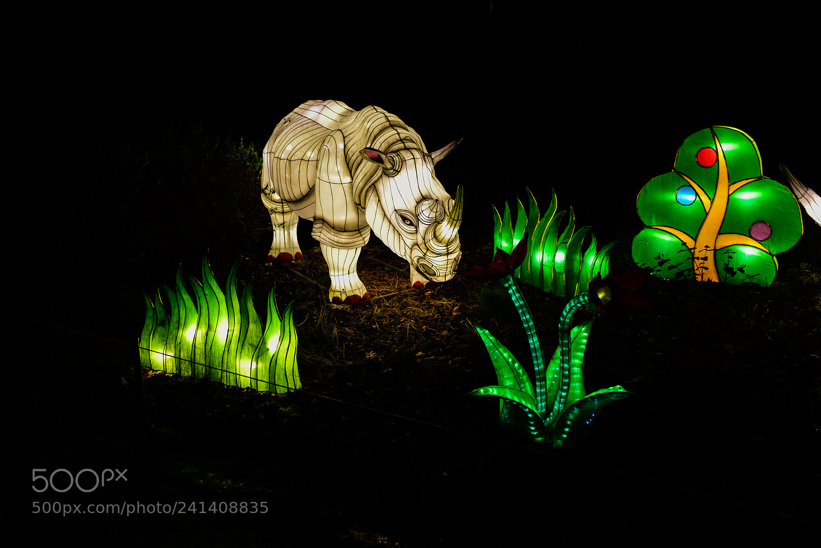 Nikon D810 sample photo. Zoo cologne - china photography