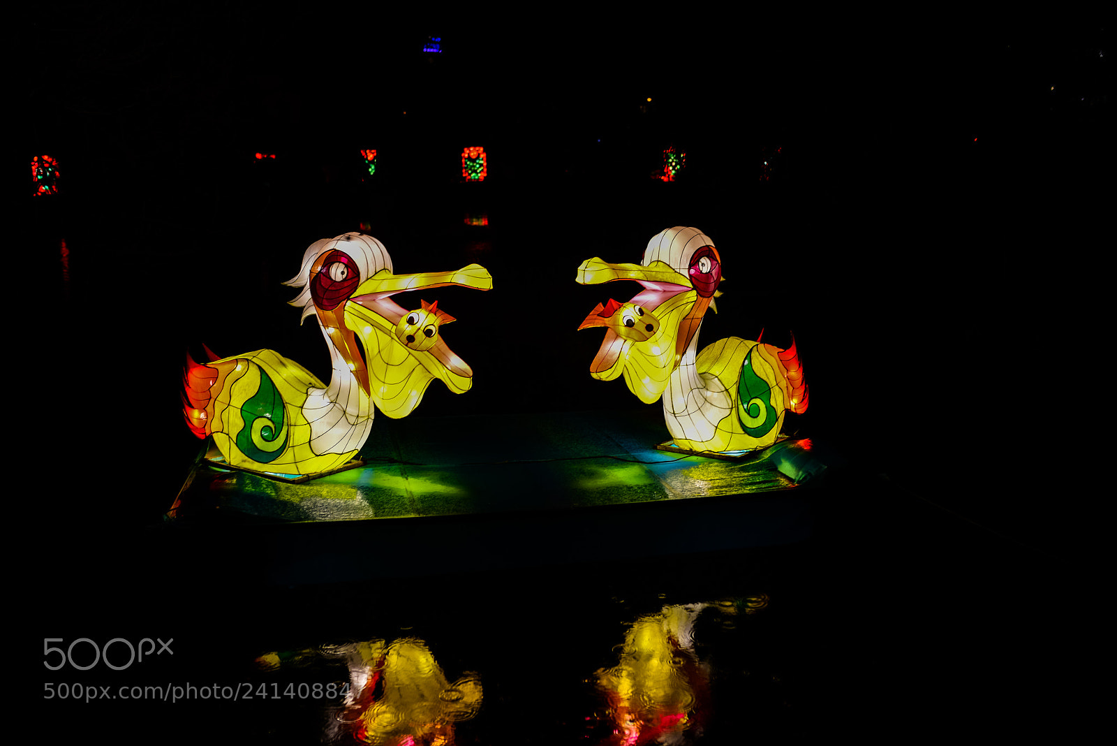 Nikon D810 sample photo. Zoo cologne - china photography
