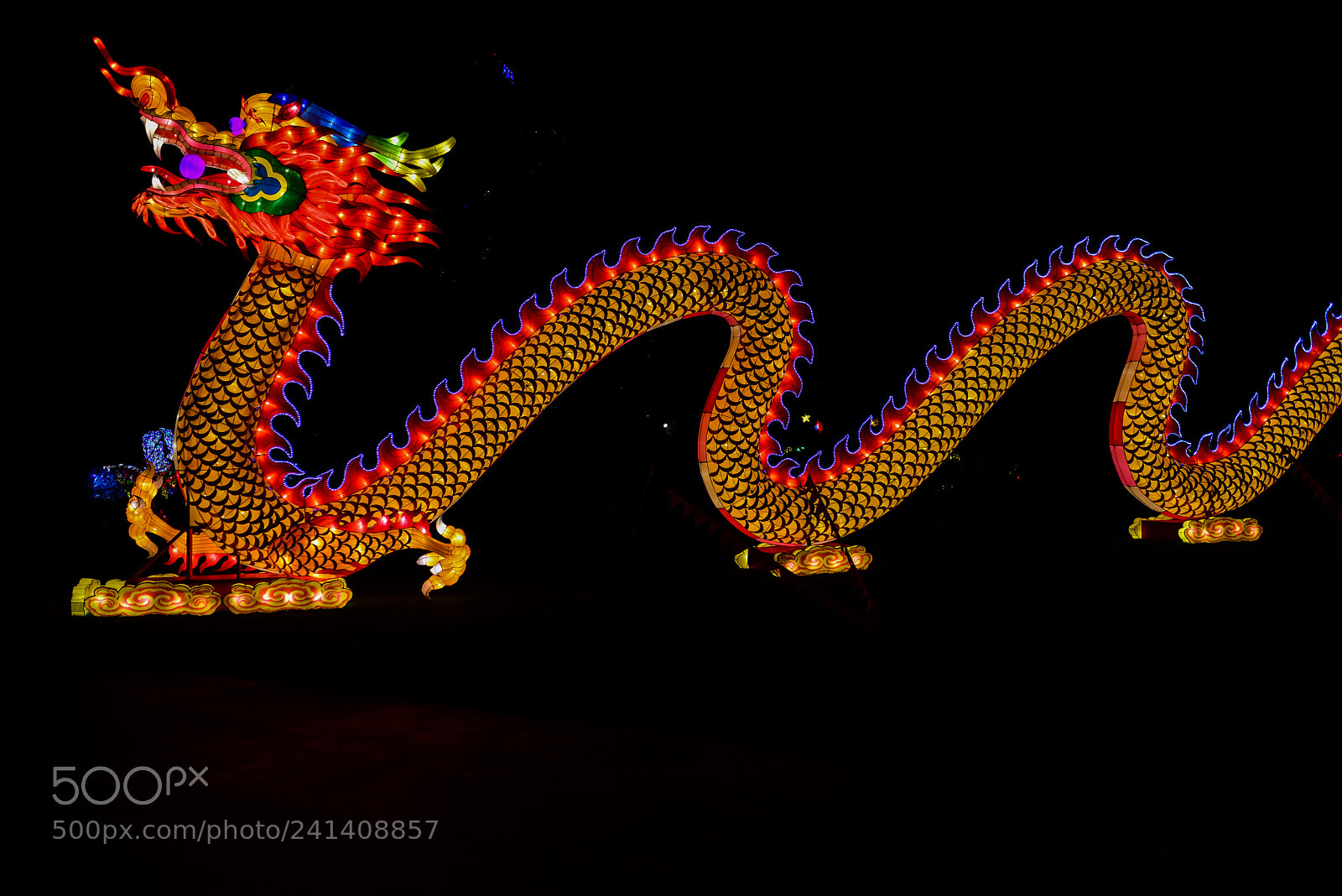 Nikon D810 sample photo. Zoo cologne - china photography