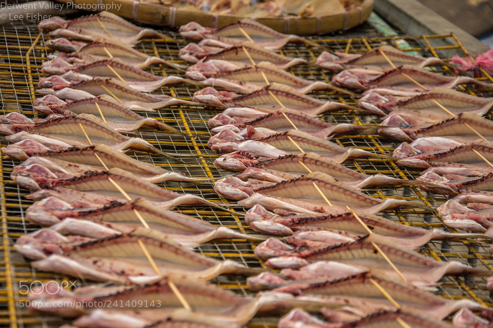 Nikon D7200 sample photo. Fish anyone? photography