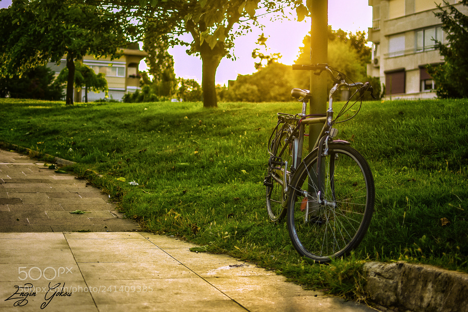 Nikon D7200 sample photo. Untitled photography
