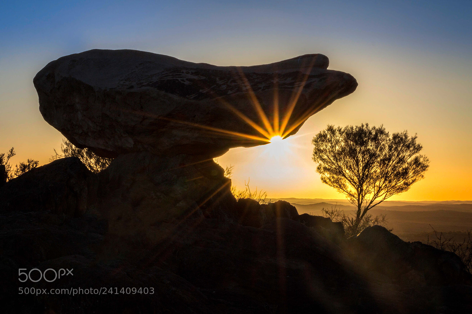 Canon EOS 60D sample photo. Living desert sculpture photography