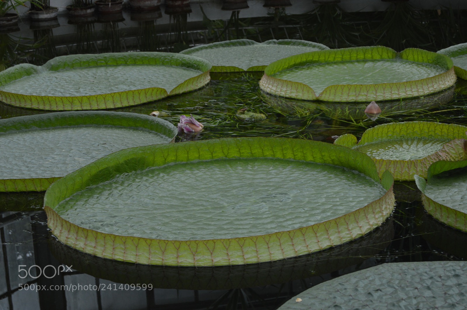Nikon D3200 sample photo. Amazing photography