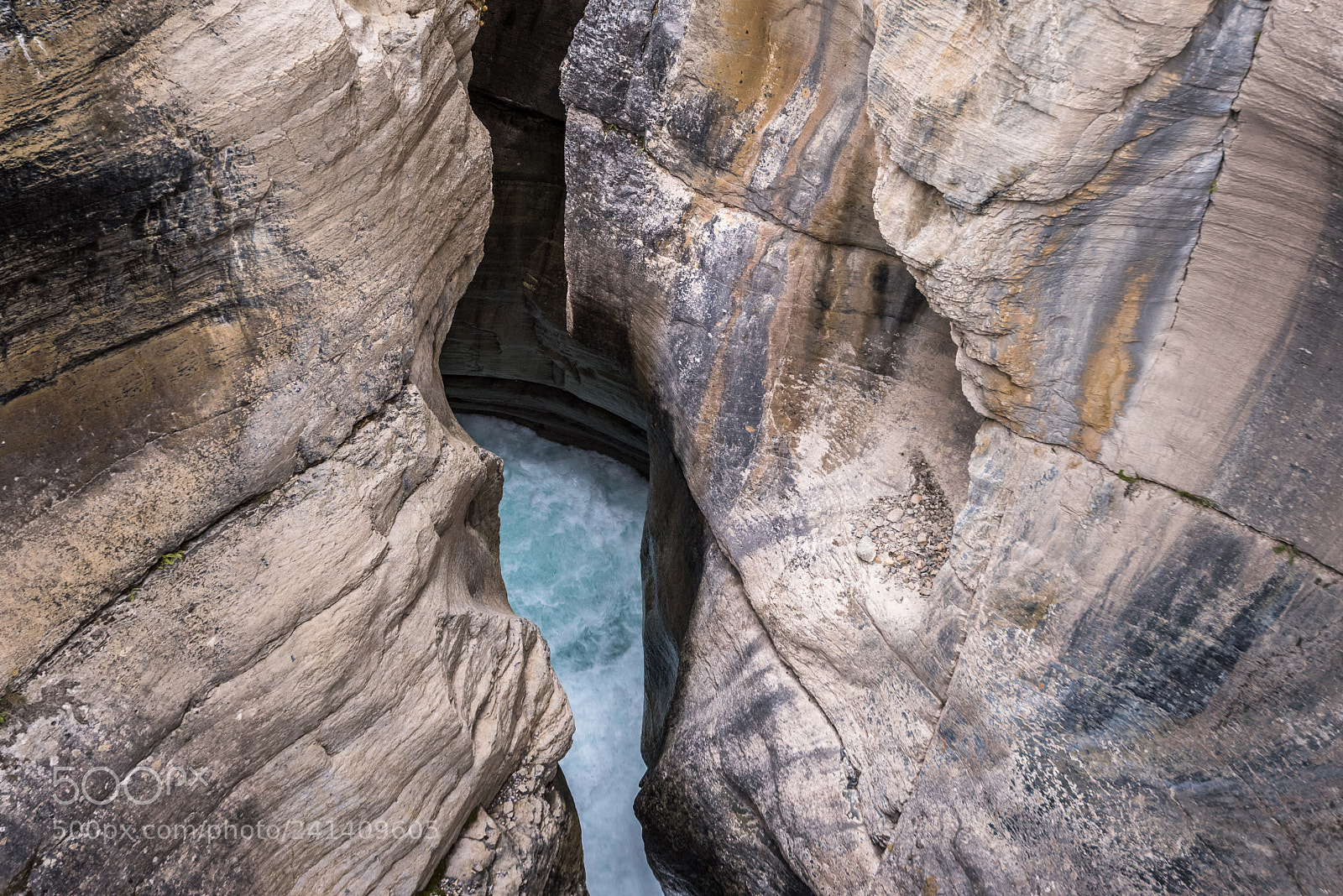 Nikon D810 sample photo. Mistaya canyon #1 photography