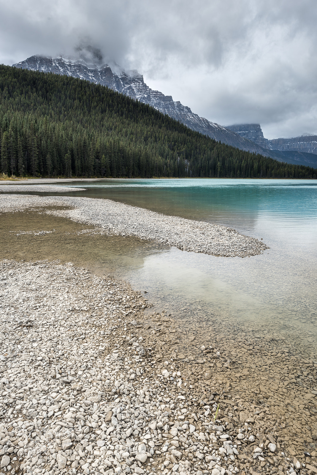 Nikon D810 sample photo. Lower wildfowl lake creek #4 photography